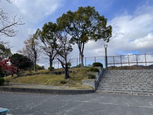 1472F0EF-E683-4767-9BA0-E29D846B9B9B