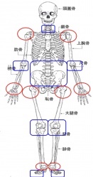 モビリティスタビリティ